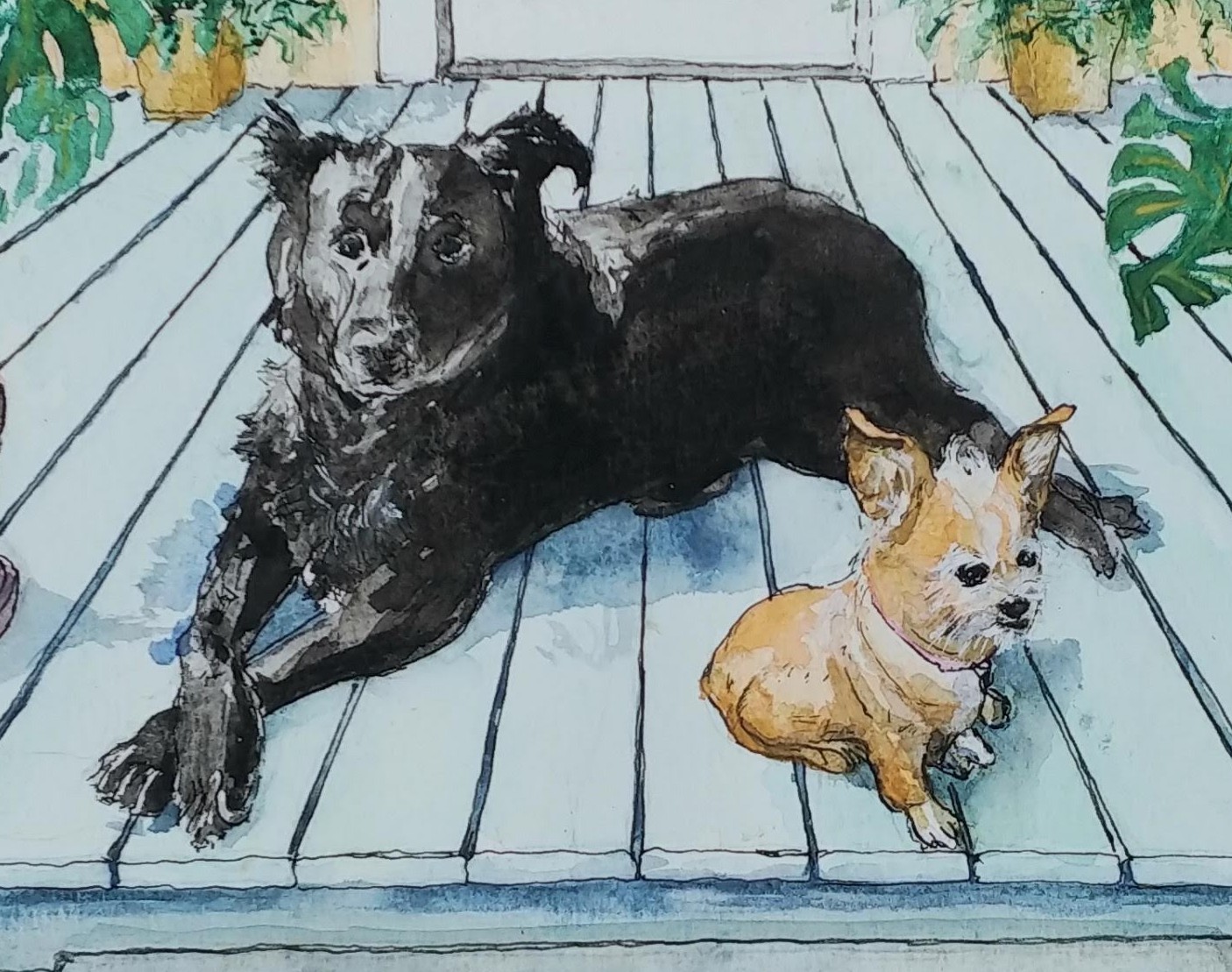 Gorney pet portrait of two dogs on a porch