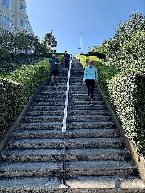 Hiking the Lyon Street Steps Hiking the Lyon Street Steps