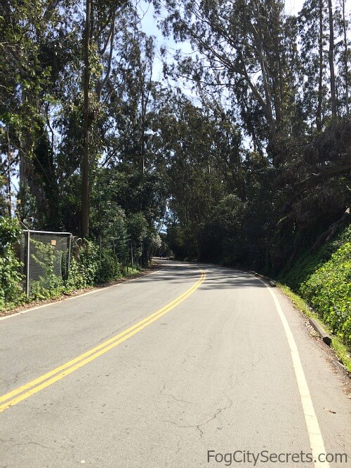 View of the hill on Long Avenue, the bike route up to the Battery East Trail and the Golden Gate Bridge.
