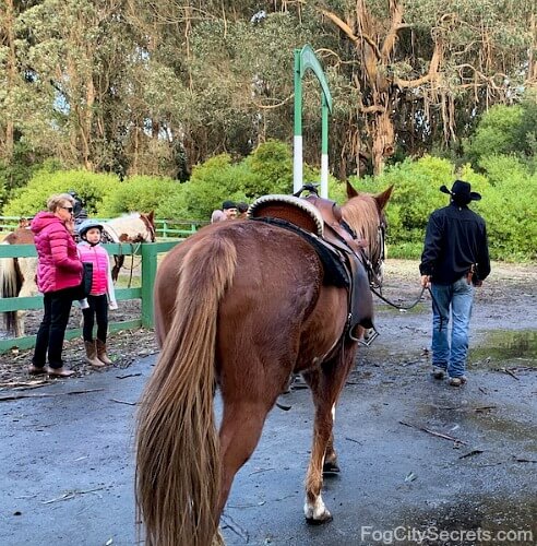 Cowboy leading horse for riding in Golden Gate Park