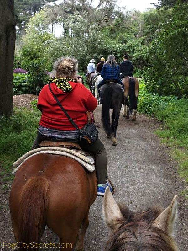 Riding a Trail In Golden Gate Park Horseback riding in Golden Gate Park, line of horses on a trail