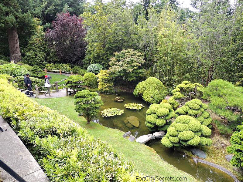 Japanese Tea Garden pools and pathway