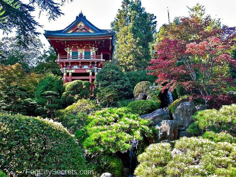Pagoda and bonzai trees at the Japanese Tea Garden SF