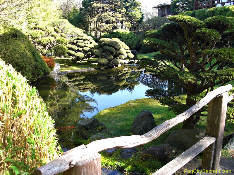 Tranquil pond in the Japanese Tea Garden SF