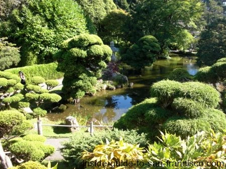 Pond and lush shrubbery at the Japanese Tea Garden Pond and lush shrubbery at the Japanese Tea Garden