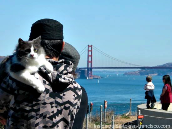 Man holding cat at Lands End San Francisco, view of bridge