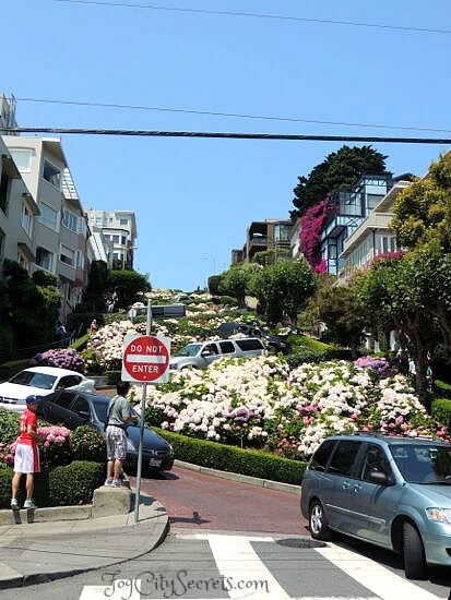 Lombard Street San Francisco The Crookedest Street In The World