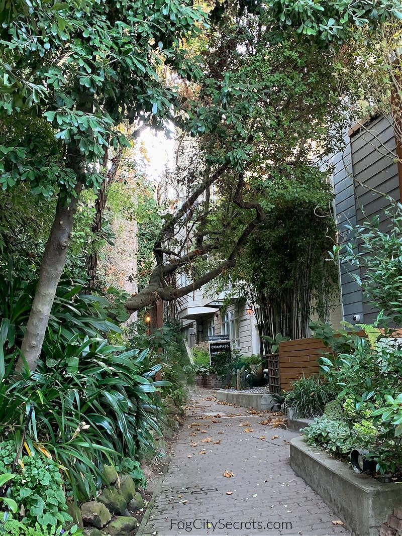 Houses on Macondray Lane passageway San Francisco