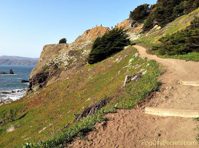 Path from Mile Rock Beach up to Lands End Point Path from Mile Rock Beach up to Lands End Point