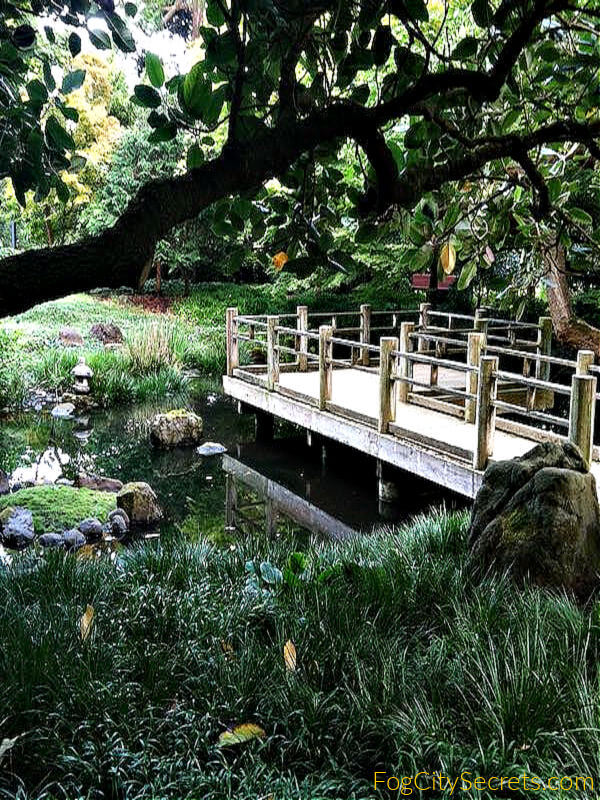 Moon Garden in San Francisco Botanical Gardens
