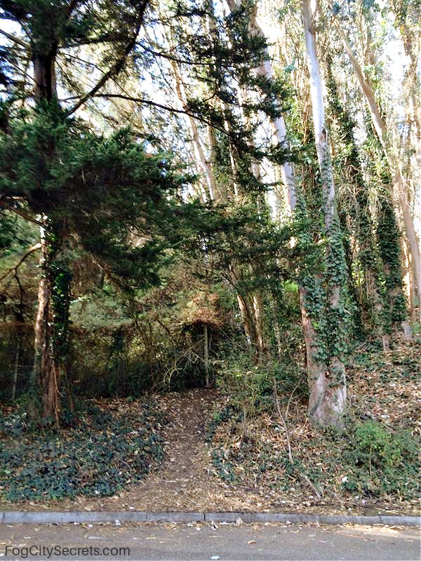 Christopher Drive Trailhead on Mount Sutro SF