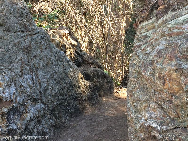 The Fairy Gates on Mount Sutro SF