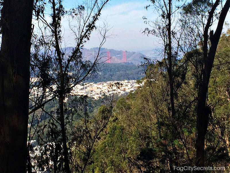 View of Golden Gate from Mount Sutro