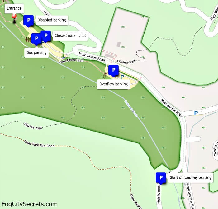 Parking Areas at Muir Woods