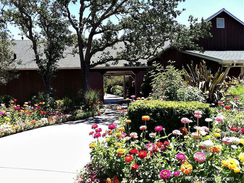 Entrance to Mumm's Winery in Napa