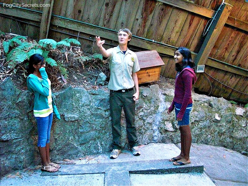 Perception of  height off at the Mystery Spot Perception of  height off at the Mystery Spot