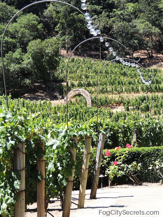 Napa Valley vineyard Napa Valley vineyard