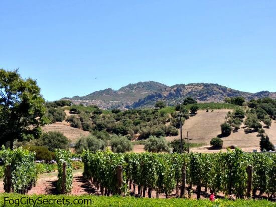 Napa Valley Vineyards