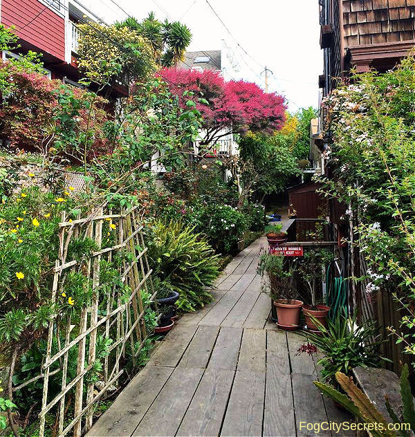 Napier Lane off Filbert Steps SF