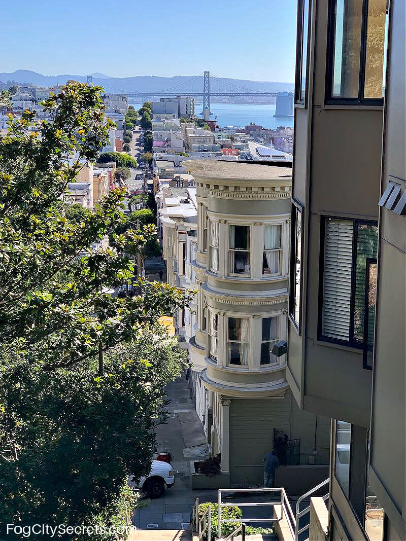 Neighborhood view from Ina Coolbrith Park SF