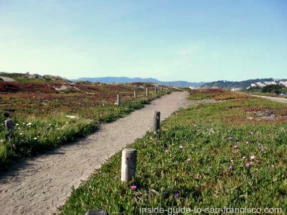 Ocean Beach San Francisco path through ice plant