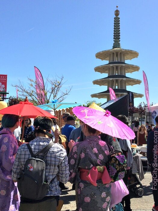 San Francisco Cherry Blossom Festival 2023 Pink blossoms and fun!