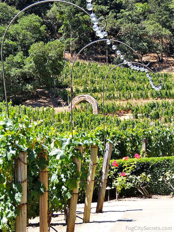 Pine Ridge vineyard hill