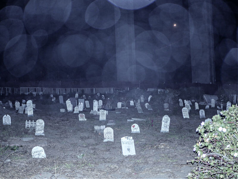 Presidio Pet Cemetery at night