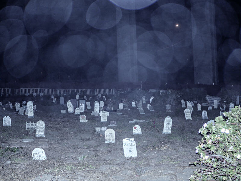 Presidio Pet Cemetery at night Presidio Pet Cemetery at night