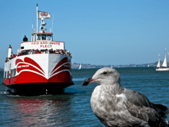 Cruises on San Francisco Bay Bay cruises, Red and White Ferry