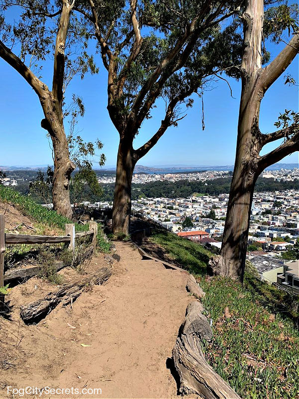 View of San Francisco from Grandview Park