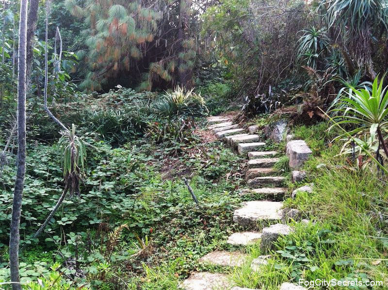 Stone steps at SF Botanical Gardens