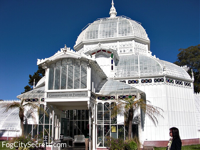 San Francisco Conservatory of Flowers a Local's Guide