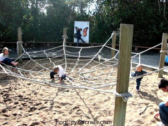 SF Children's Zoo spider web