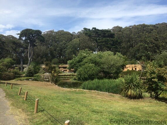SF Zoo grounds