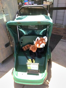 SF Zoo stroller for rent