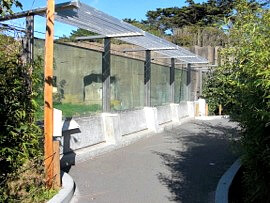 Tiger viewing area SF Zoo