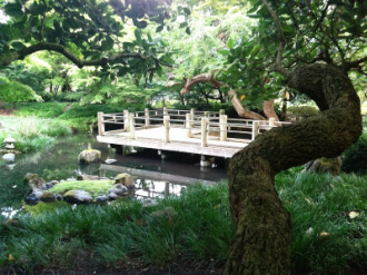 arboretum moon viewing small arboretum moon viewing small