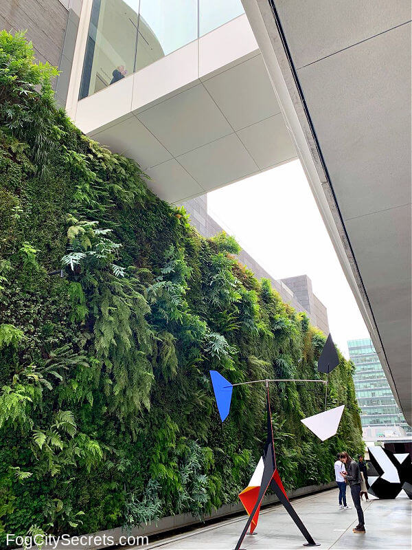 Living wall at the SF MOMA