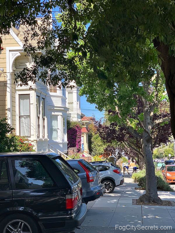 Shady street in Noe Valley SF
