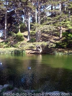 Base of Strawberry Hill on Stow Lake island