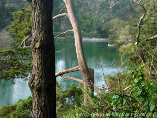 View of Stow Lake from the island