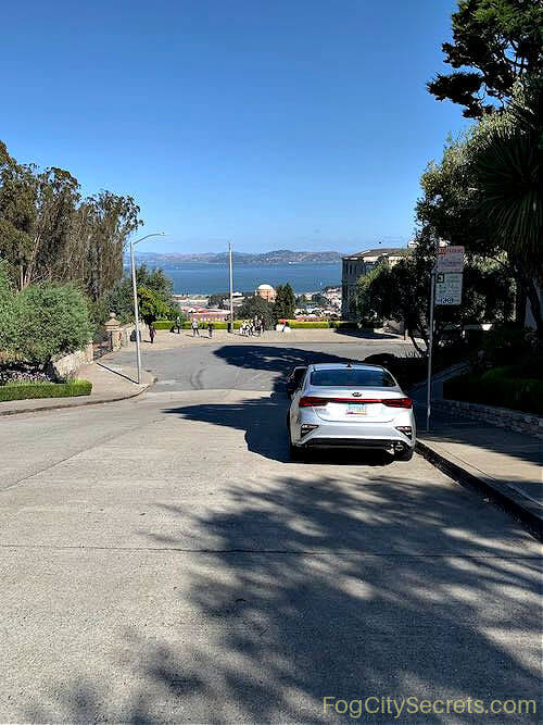 Above the Lyon Street Steps Above the Lyon Street Steps