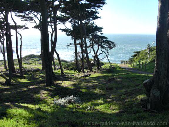 Sutro Baths wooded grounds
