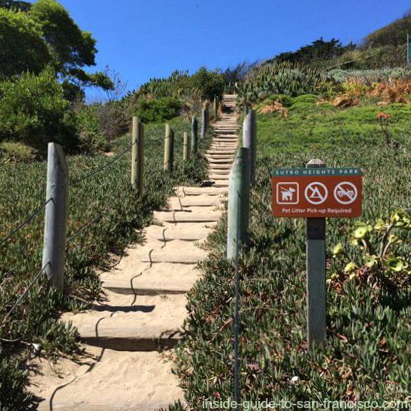 Rustic stairway up to Sutro Heights Park Rustic stairway up to Sutro Heights Park