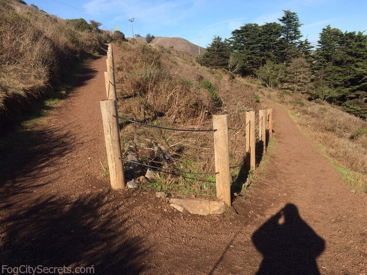 Closeup of dirt pathway from North Tower parking lot to Conzelman Road.