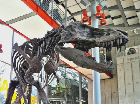 t-rex head t-rex head