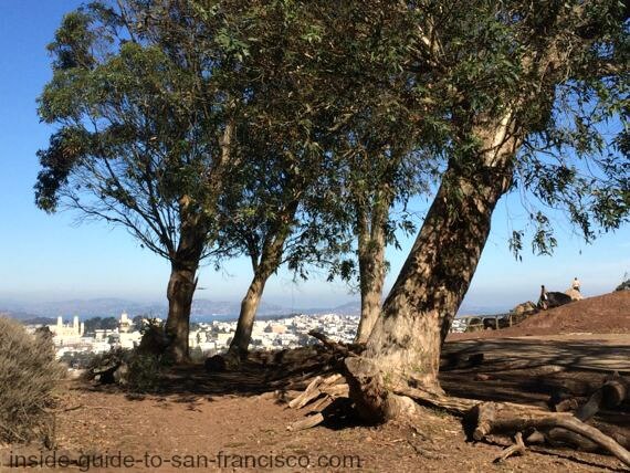 Park on top of Tank Hill