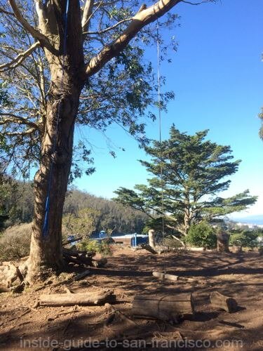 Rope swing at Tank Hill