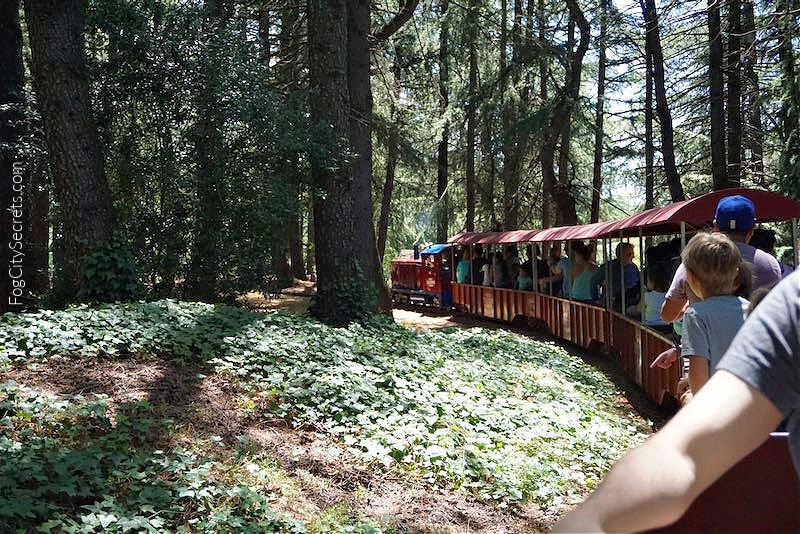 Train in the woods at Somona Train Town